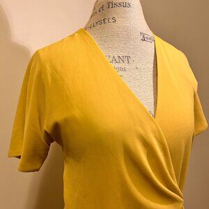 Babaton Short Sleeves Top: Size XS